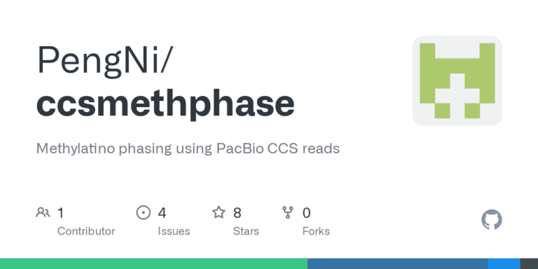 Mastering CCSMethPhase Run with Split BAM for Accurate Methylation Phasing