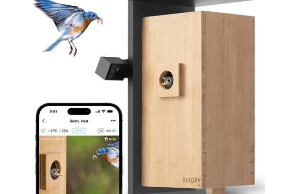 Bird house with camera installed in a garden for real-time birdwatching.