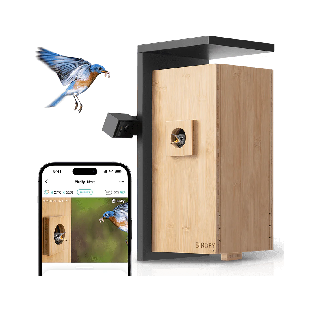 Bird house with camera installed in a garden for real-time birdwatching.